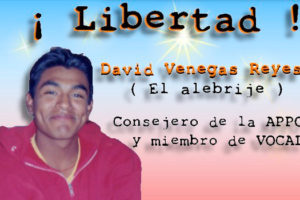 Hoy 23 de enero, Libertad Absoluta para David Venegas ’Alebrije’