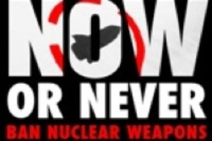 Desarme nuclear : ¡Ahora o nunca ! (3 de Abril)