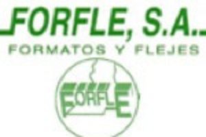 Puerto de Sagunto : CGT obtienes tres delegadxs en FORFLESA
