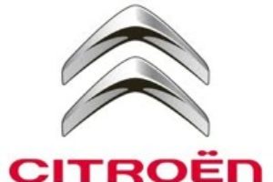 Continúa o proceso contra as eleccións en Citroën