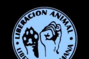 Concentración contra el maltrato animal en Soria