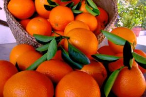 Campaña “Naranja Ecológica Castelló”: de Productor a Consumidor “El Campo en la Ciudad “