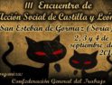 San Esteban de Gormaz (Soria): III Encuentro de Acción Social de Castilla y León