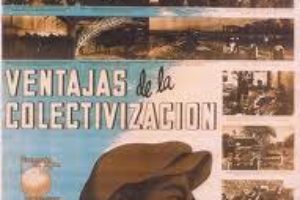 Nace una colectividad en Asturias para poner en práctica la economía libertaria