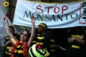 Histórica manifestación en más de 50 países contra la multinacional de transgénicos Monsanto