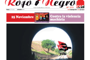 Rojo y Negro Nº 273 – noviembre 2013