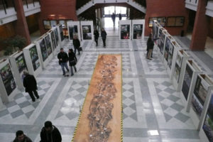 La exposición «Exhumando fosas, recuperando dignidades» en Sevilla.