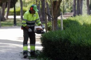 CGT gana las elecciones sindicales en FCC Parques y Jardines de Zaragoza