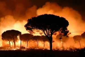 El fuego arrasa Doñana