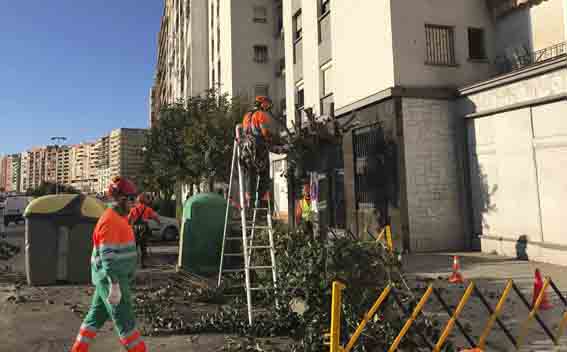 CGT denuncia las maniobras del Ayuntamiento de Algeciras contra RECOLTE (Parques y Jardines)
