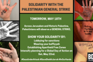 PALESTINA | Solidaridad con la huelga general palestina en la Palestina histórica