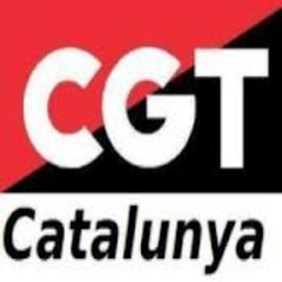 Asamblea constituyente del sindicato de actividades diversas de CGT Osona, el 27 de Abril.