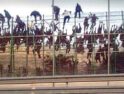 CGT apoya las protestas contra los asesinatos de inmigrantes en Melilla