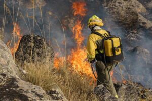 CGT denuncia que las consecuencias del incendio forestal de Navalacruz se deben a la falta de inversión en prevención por parte de la Consejería de Fomento y Medio Ambiente