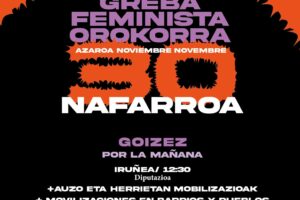 Huelga General Feminista en Euskal Herria: Nafarroa