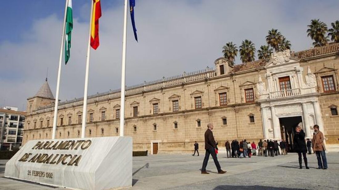 Rueda de prensa Manifestación 28F en Sevilla y rodeo al Parlamento Andaluz