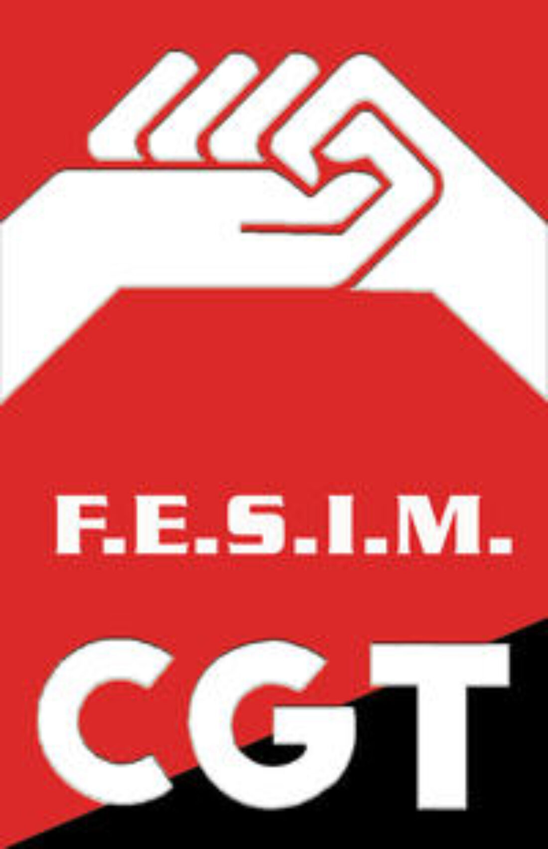 Petición de solidaridad desde la FESIM-CGT con los trabajadores de SEAT, IMESAPI y FICOSA